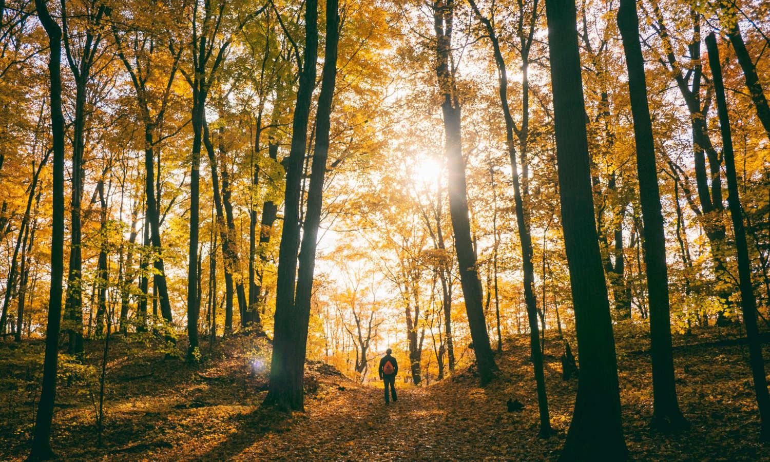 SaaS marketing for startup founders